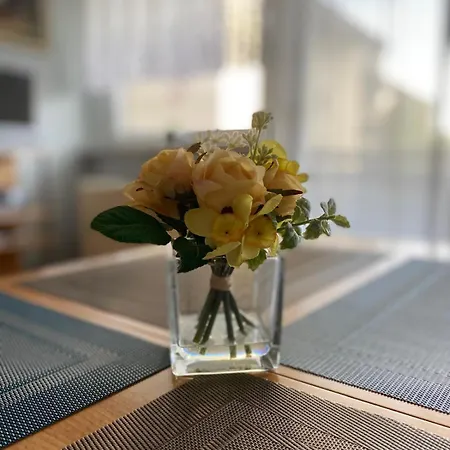 Aurea Apartment Bad Mitterndorf