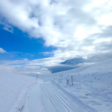 Aurea Bad Mitterndorf